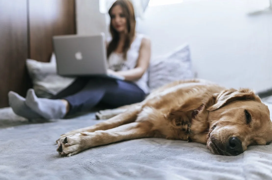 multifunctional smart bed